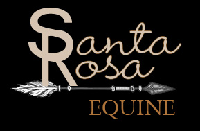Santa Rosa Equine